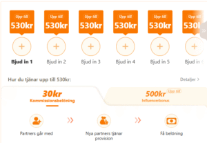 temu affiliate program